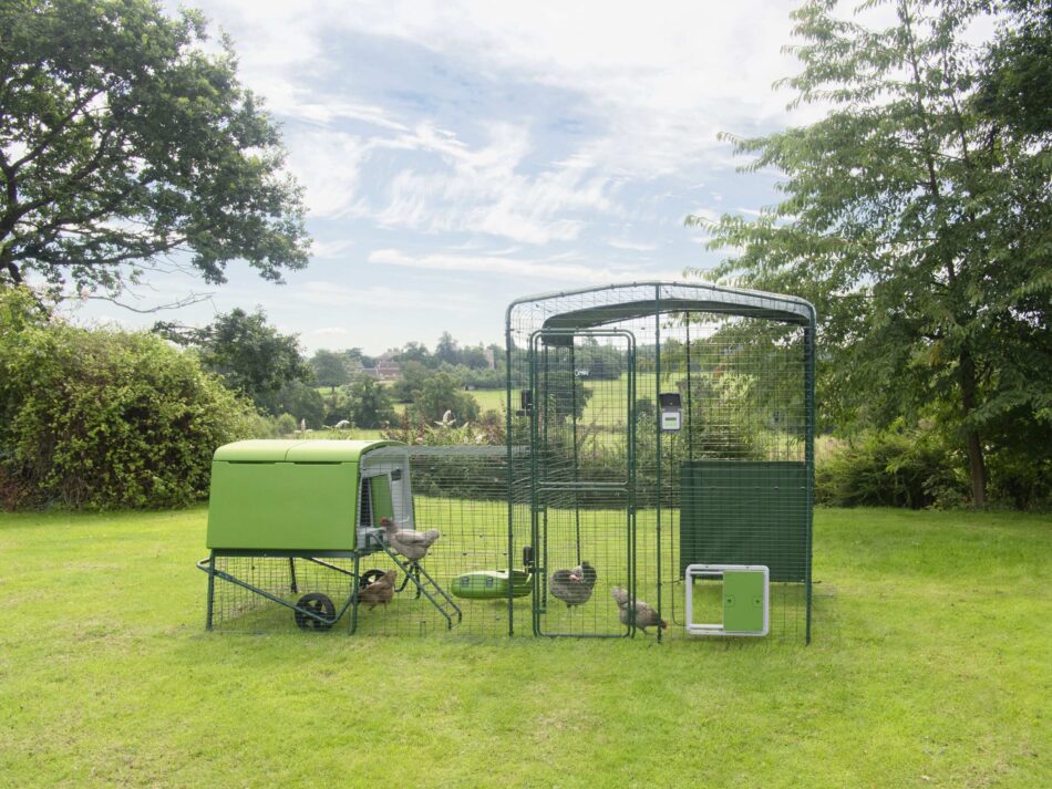 Omlet Eglu Cube Chicken Coop and Walk In Chicken Run