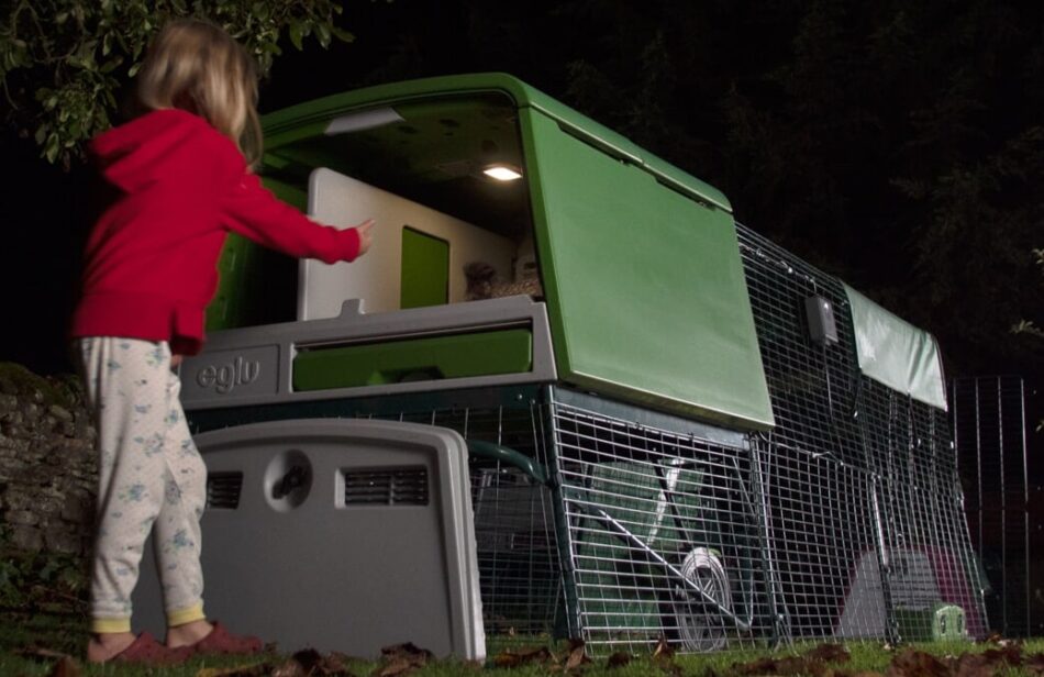 Girl interacting with chickens at night in Omlet Eglu Cube Chicken Coop with Coop Light