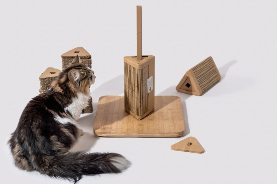 Cat looking at Omlet Stak Cat Scratcher with refill pack