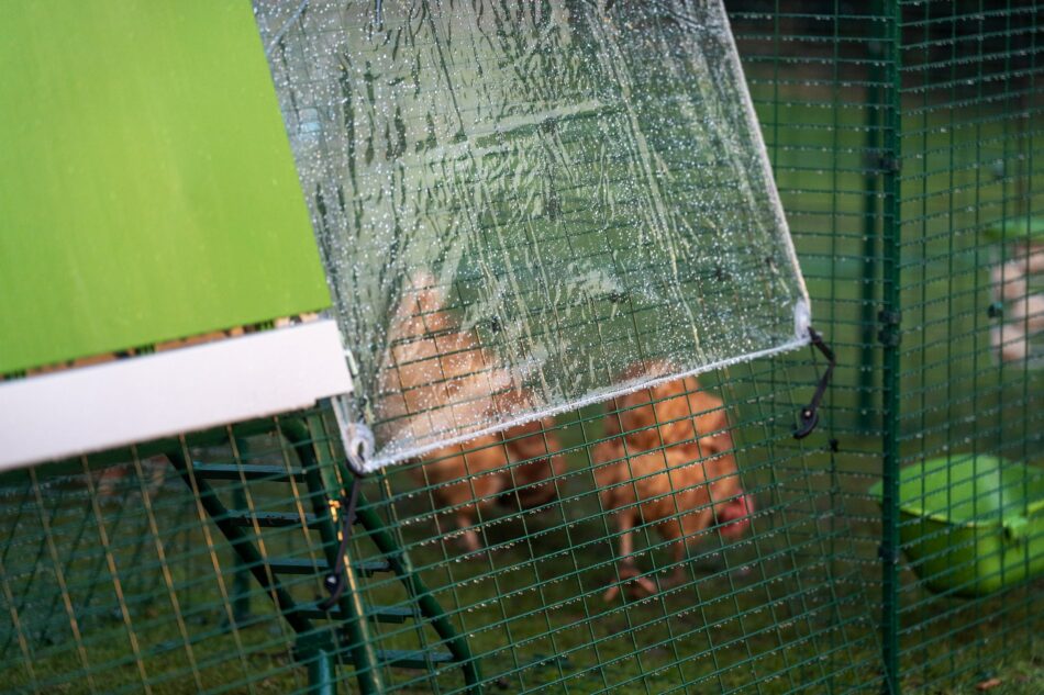 Chickens keeping protected from the rain under their Omlet Weather Protection Covers