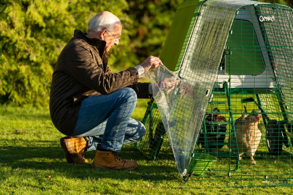 Man met zijn kippen in Omlet Eglu Go UP kippenhok met Omlet dekzeil