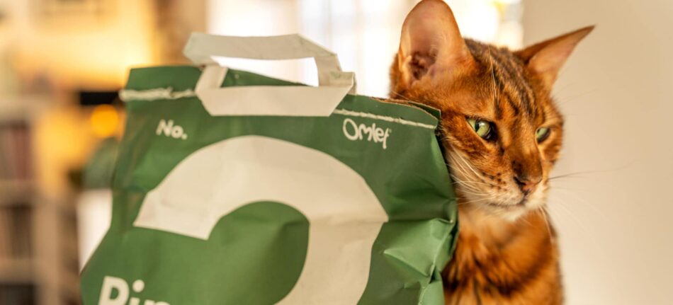 De CO2-pootafruk van katten beperken - kat geeft kopjes aan zak met pine kattenbakvulling van Omlet