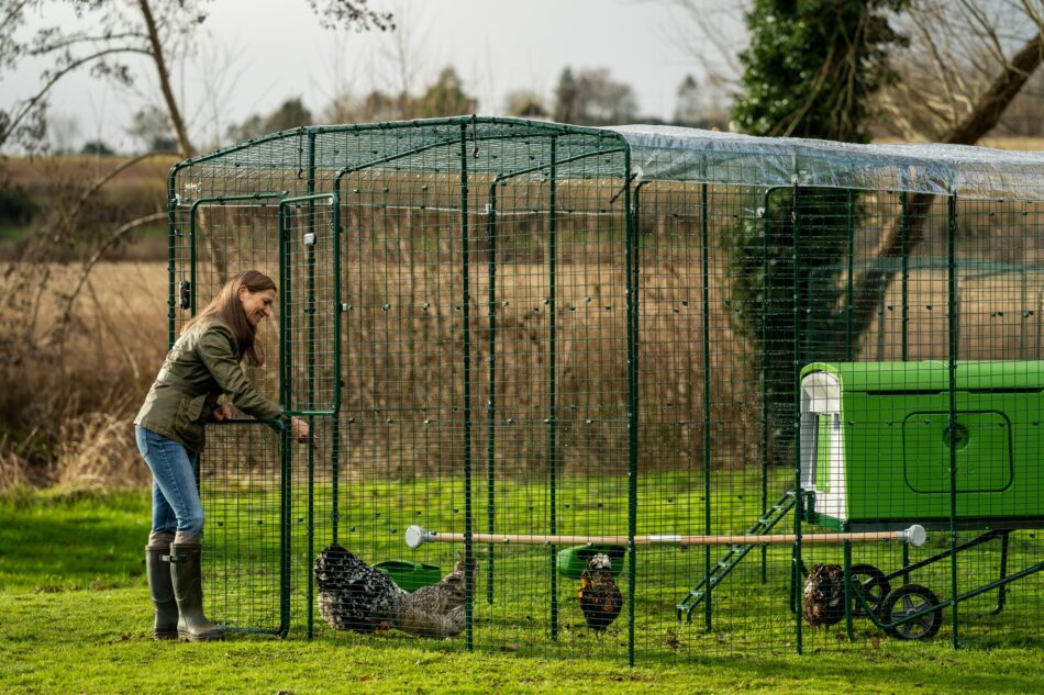 Hønsepasser ser på sine høns i deres Omlet walk-in løbegård