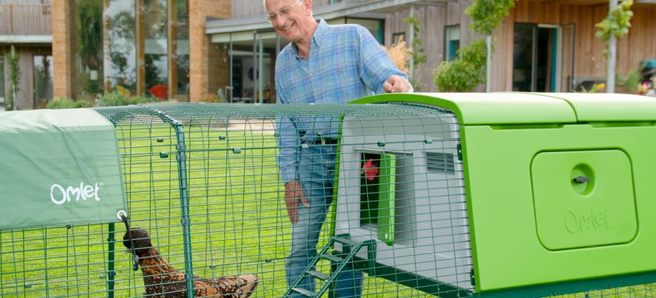 Chicken keeper watching his chickens in their Omlet Eglu Cube Chicken Coop