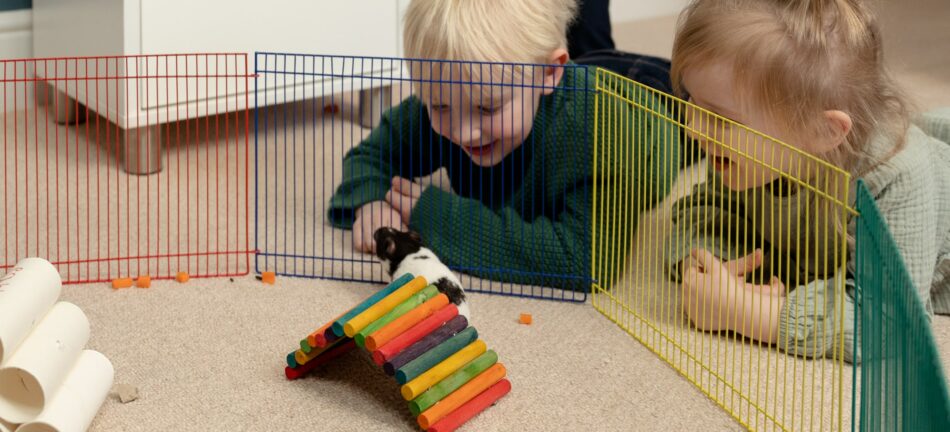 Children playing with hamster in its playpen