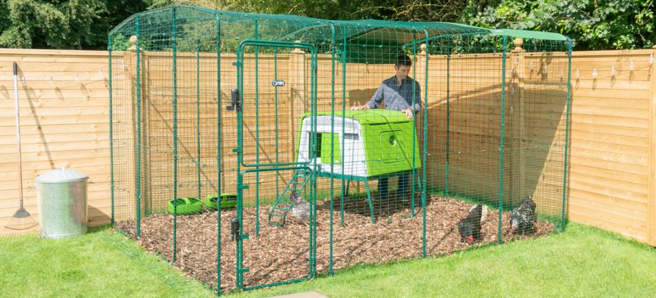 Man with his chickens in Omlet's Walk In Chicken Run and Eglu Cube chicken coop