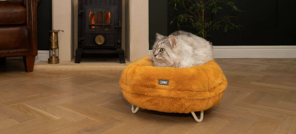 White cat lying on Omlet Maya Donut cat bed