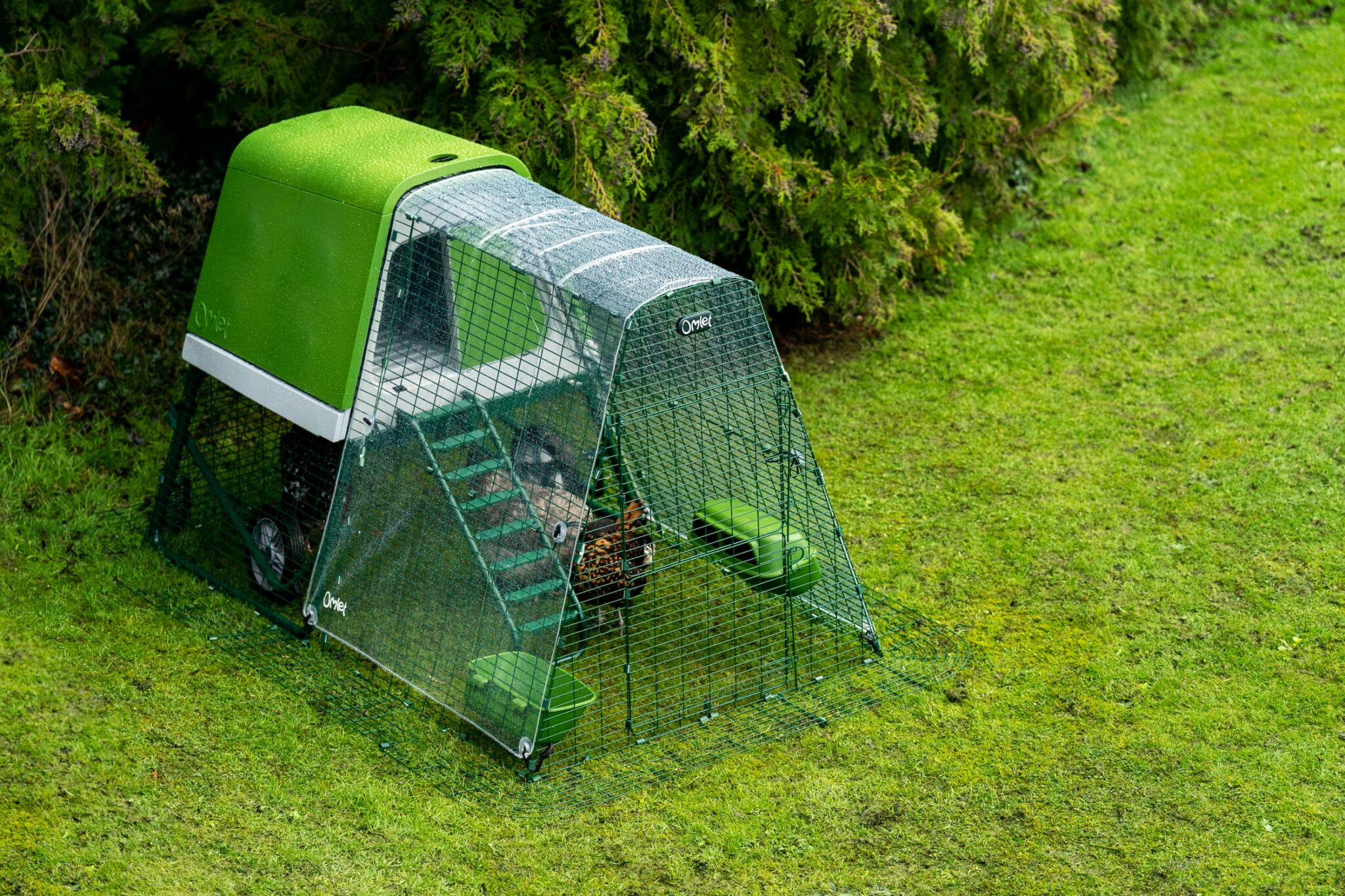 Chicken coop size Omlet Blog US