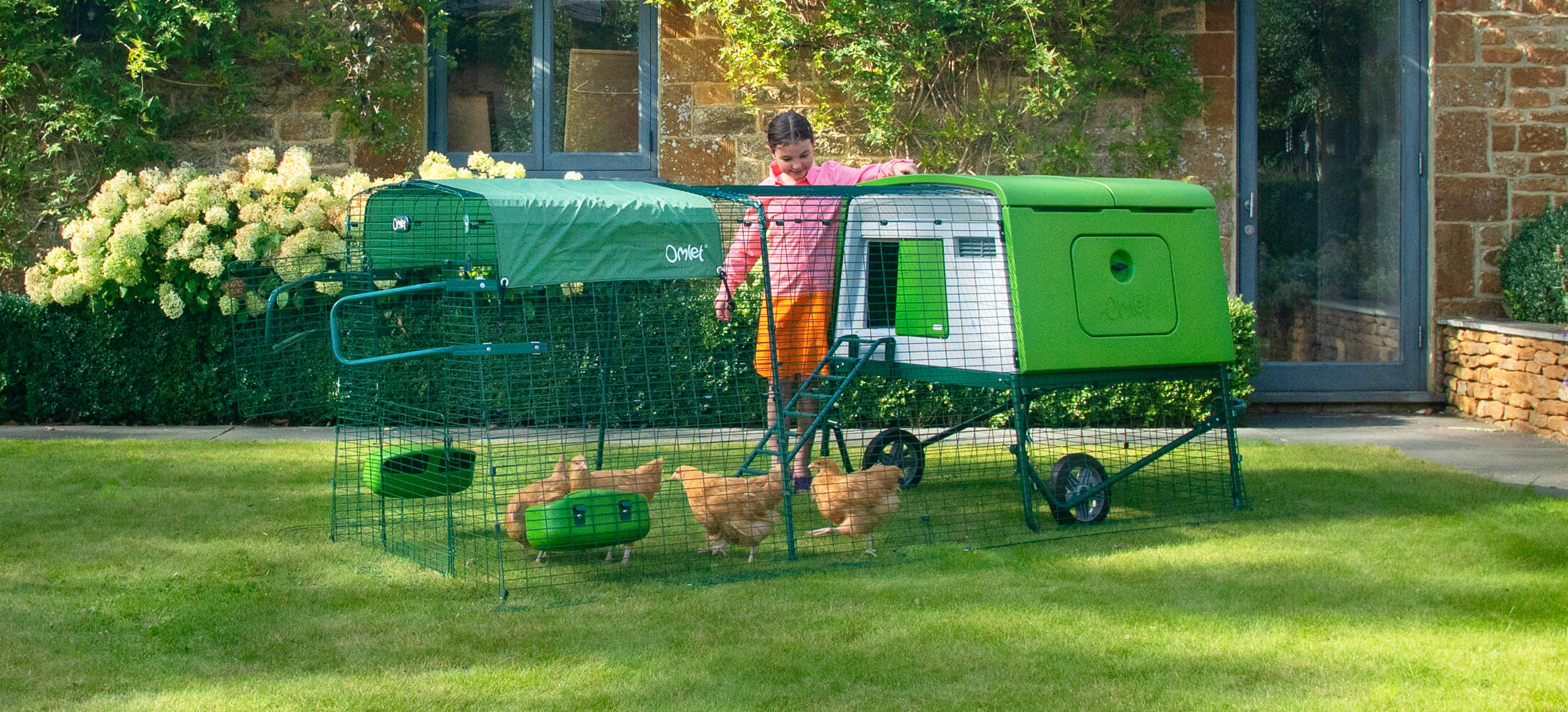 What chicken coop size do I need? Omlet Blog US