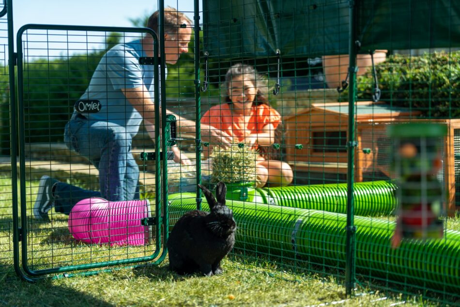 Man en meisje buiten met konijn bij Omlet tunnelsysteem voor konijnen