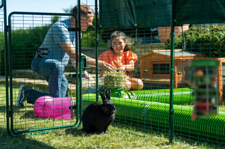 Uomo e bambina all’aperto con un coniglio che usa il sistema di tunnel Zippi di Omlet