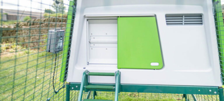 best-automatic-chicken-coop-door-omlet-blog-us