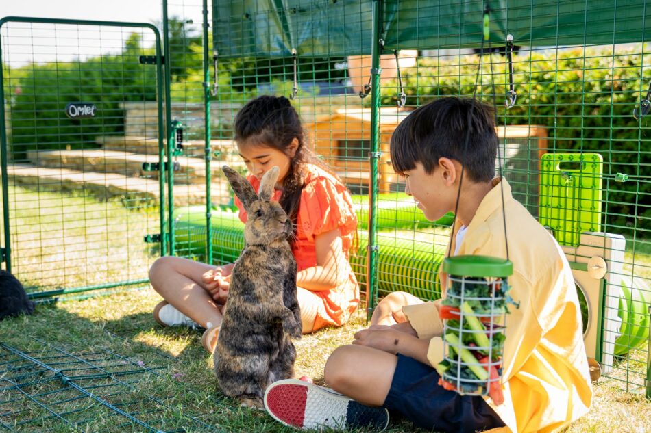 Två barn utomhus med sina kaniner i Omlets kaningård