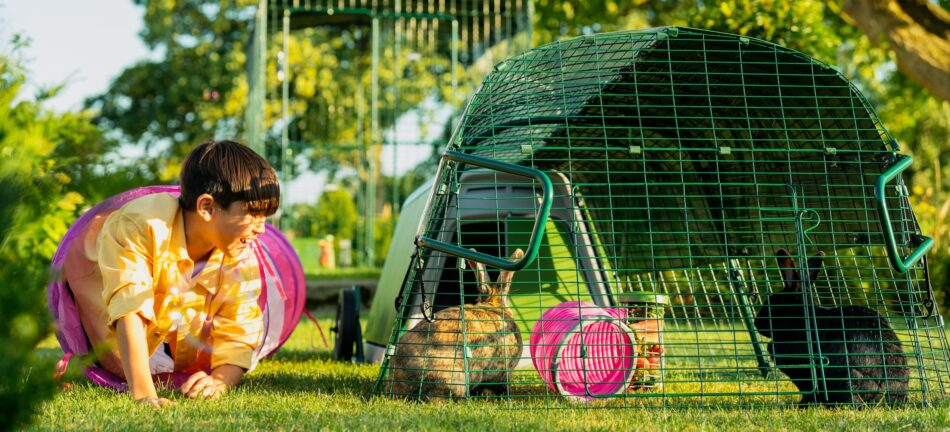 Boy looking at his rabbits with their Omlet summer setup