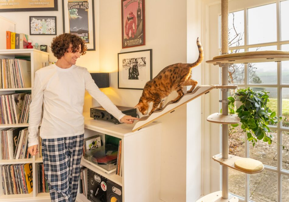 Man with his cat using the Omlet indoor Freestyle cat tree