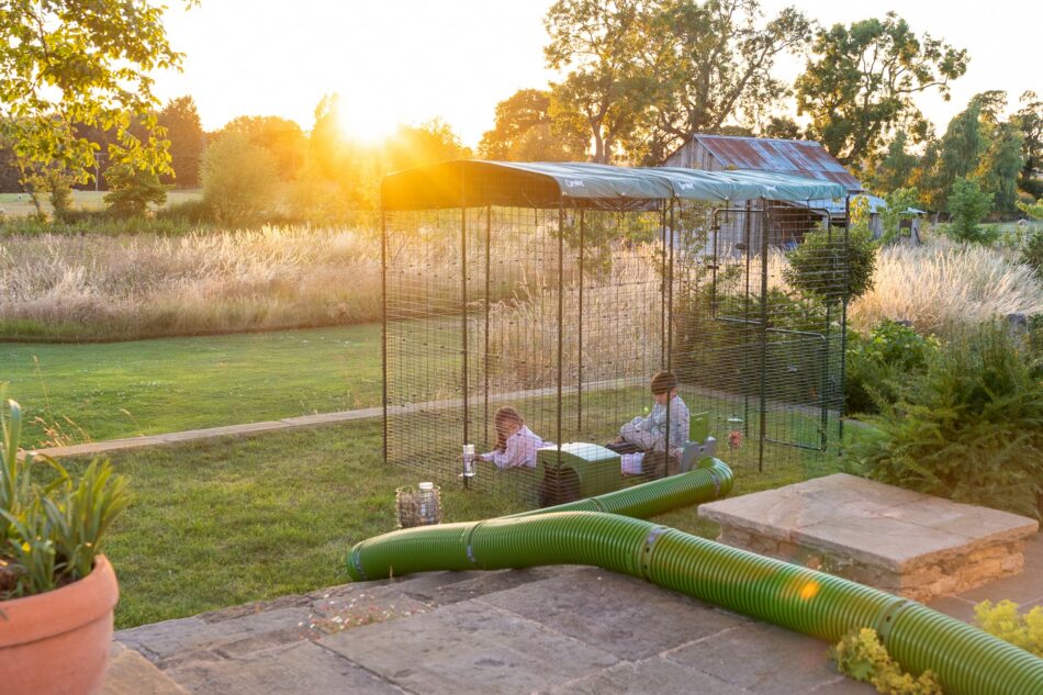 Omlet outdoor rabbit run and Zippi Tunnel System in the sunset