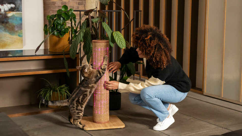 Woman playing with cat on the Omlet Switch cat scratcher