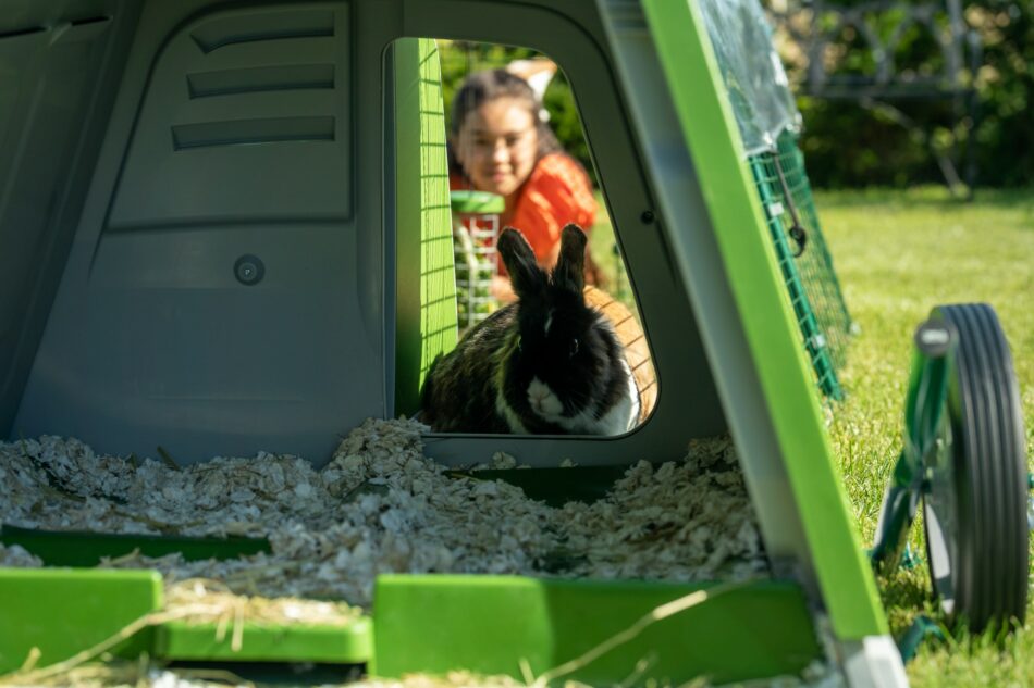 Girl looking at rabbit through the Omlet Eglu Go rabbit hutch