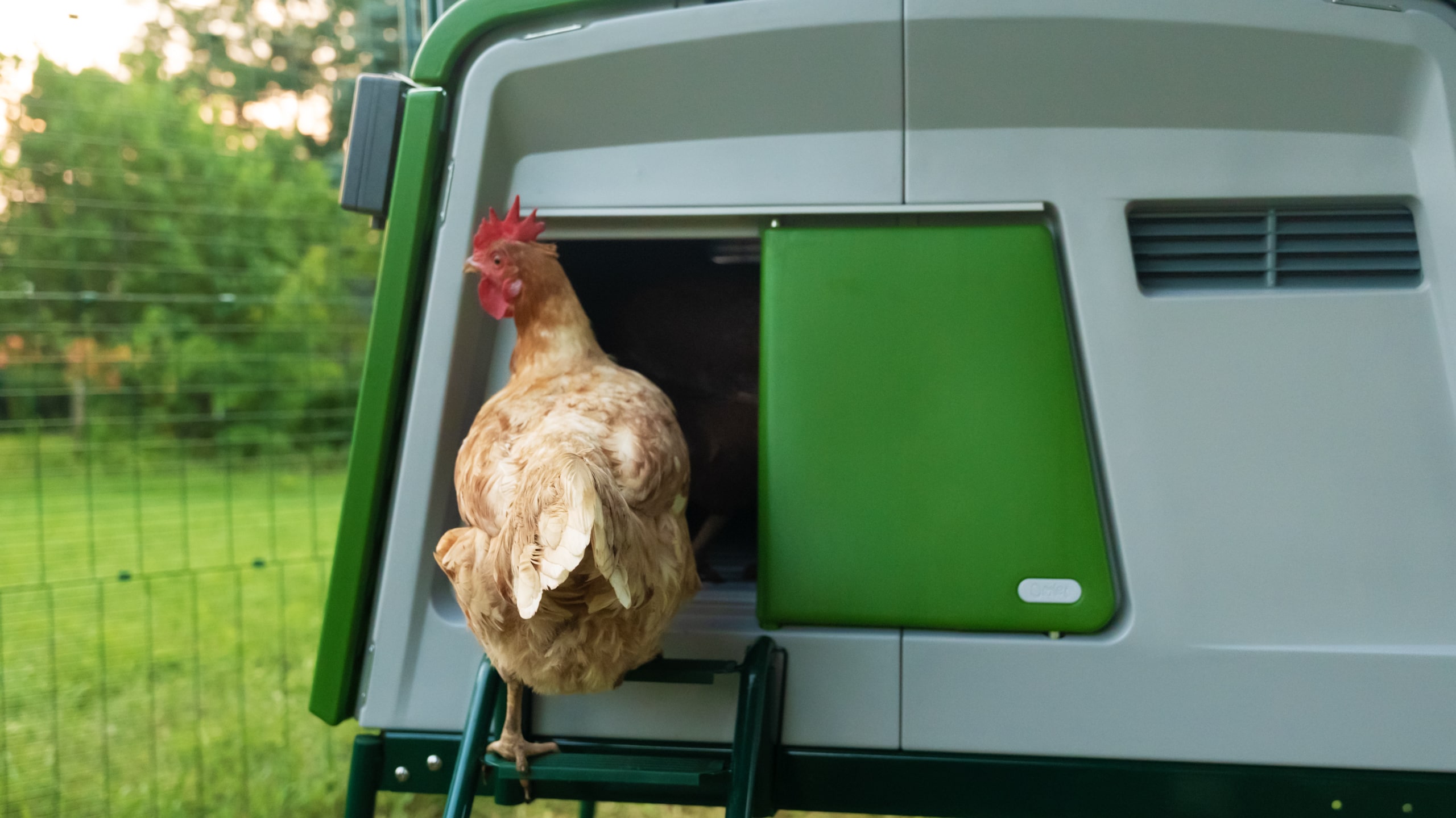 Chicken coop door ideas Omlet Blog US