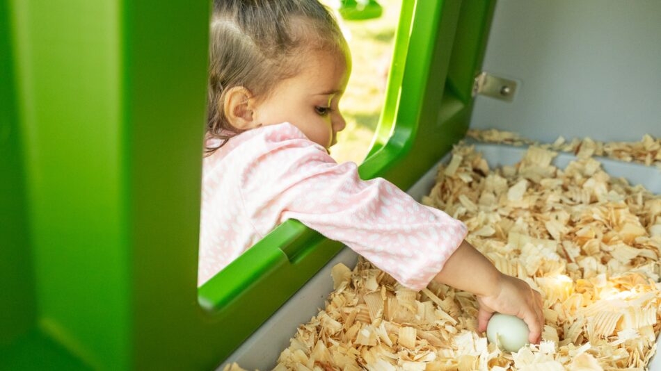 Girl collecting fresh eggs from the Omlet Eglu Cube Chicken Coop