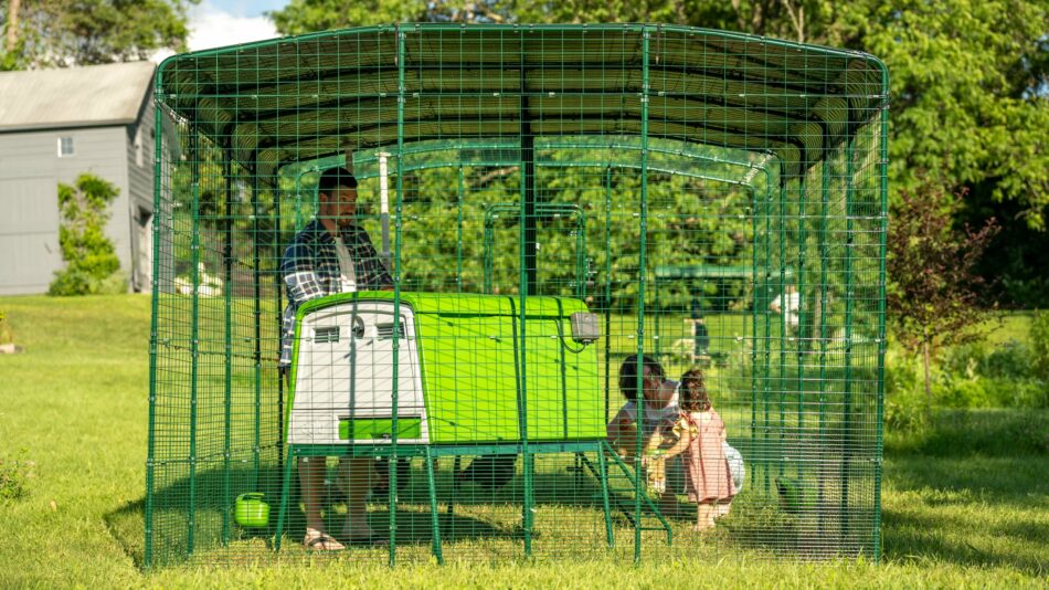 Family with their flock in the Omlet Walk In Chicken Run with the Eglu Cube Chicken Coop