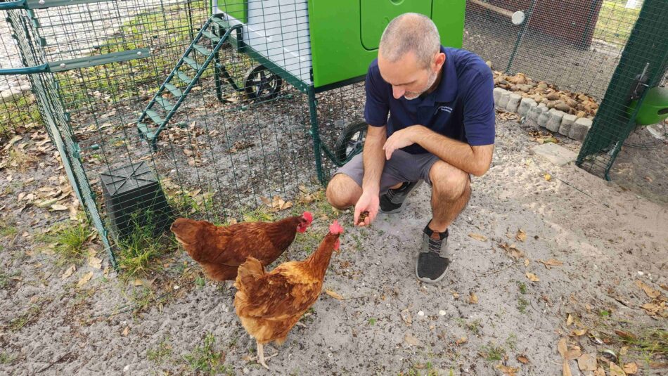 Jeremy Gary feeding his flock next to the Omlet Eglu Cube Chicken Coop