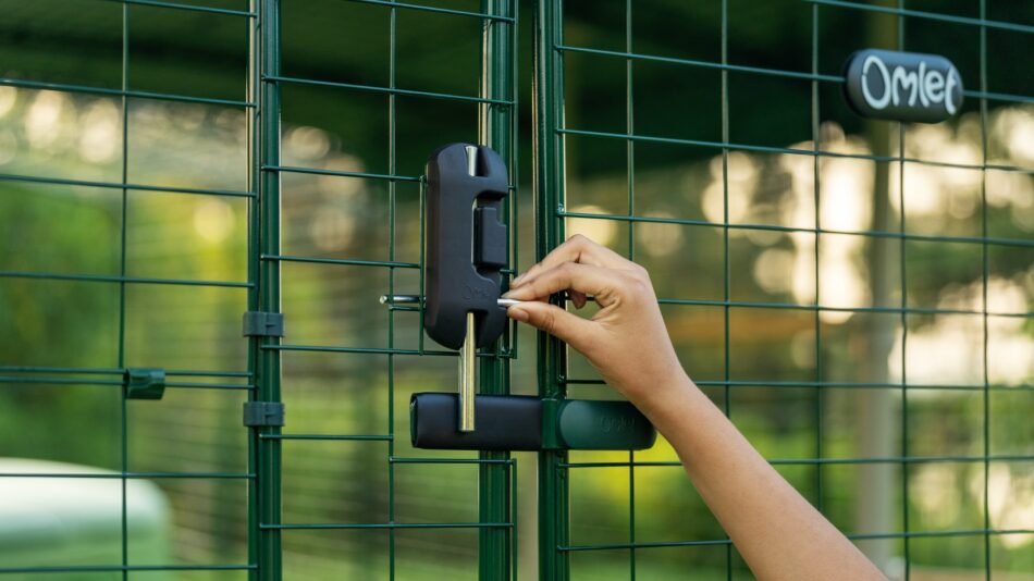 Keeping chickens secure in the Omlet Walk in Chicken Run