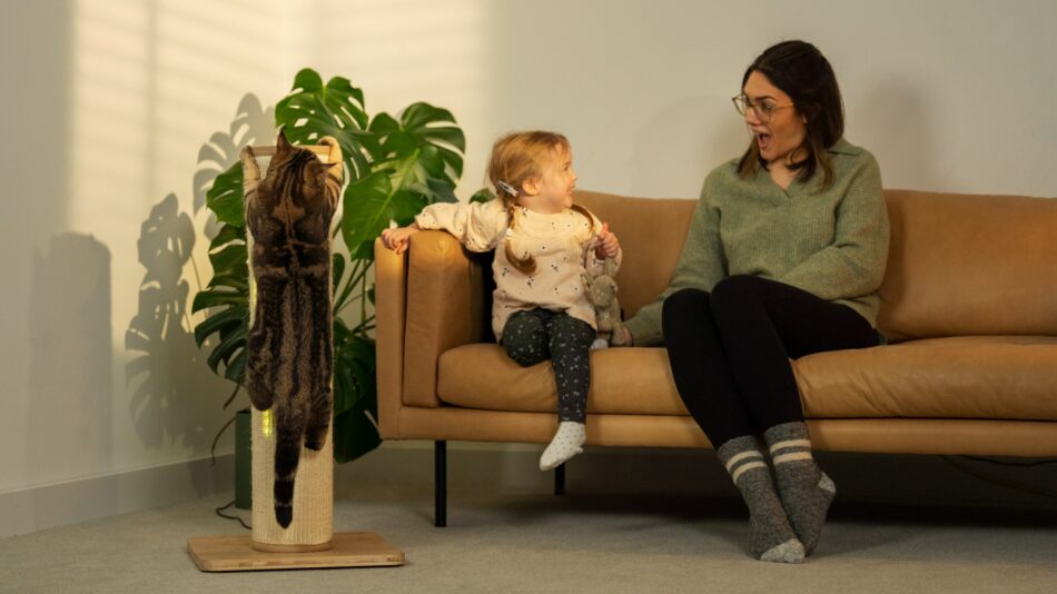 Woman and girl on the couch with a cat using the Omlet Switch Cat Scratcher