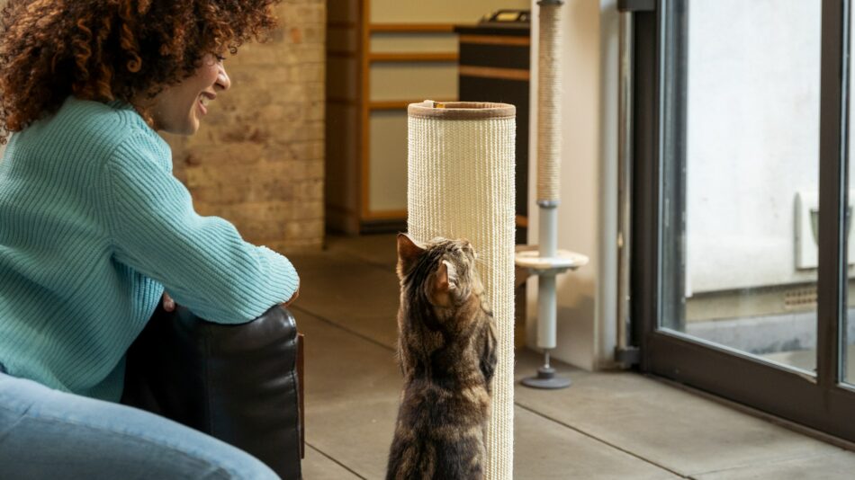 Cat scratching the Omlet Switch Cat Scratcher with owner watching