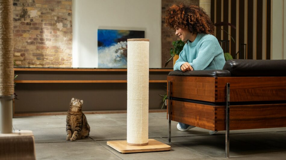 Woman and her cat looking at each other with the Switch Cat Scratcher