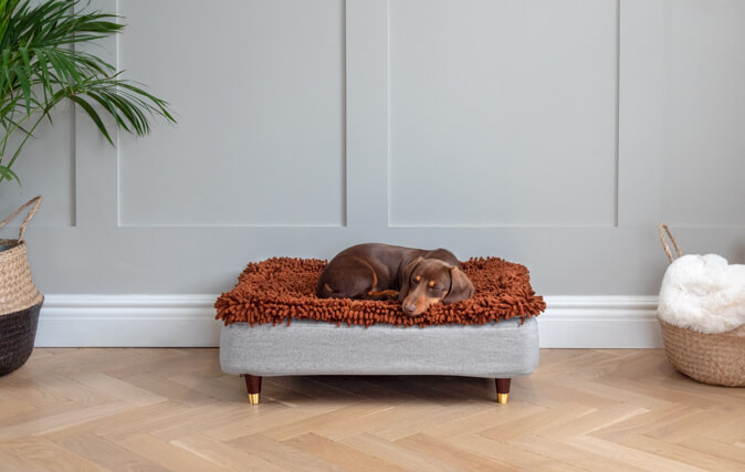Dachshund sleeping on Omlet Topology dog bed