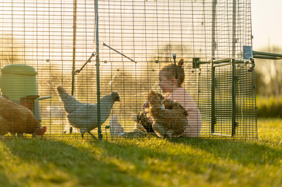 young girl sitting with chickens in an eglu pro run