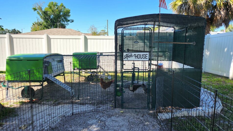Jeremy's setup for chickens with Walk In Run and Eglu Pro and PoleTree
