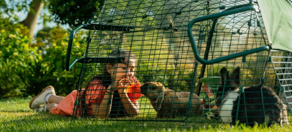 Girl feeding the rabbit watermelon through the Eglu go run