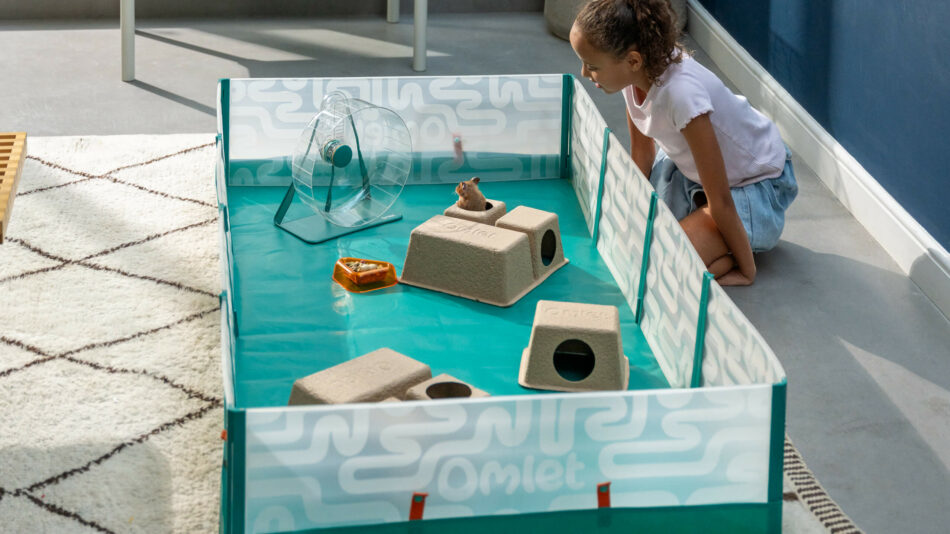 Girl watching hamster in the Omlet Hamster Playpen