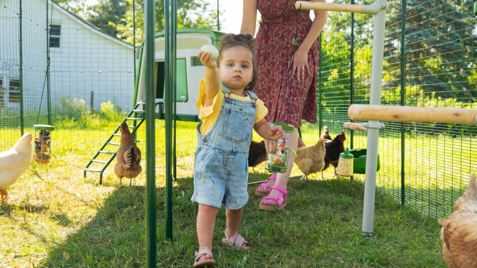 Child holding a chicken egg inside the Omlet Walk In Run