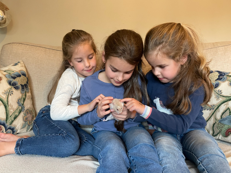 Three girls sat on the couch with their pet hamster