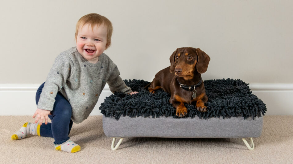 Toddler with dog on the Omlet Topology bed