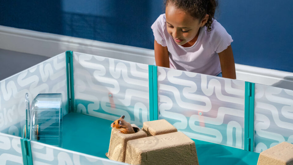 Girl looking at her hamster in the Omlet hamster playpen