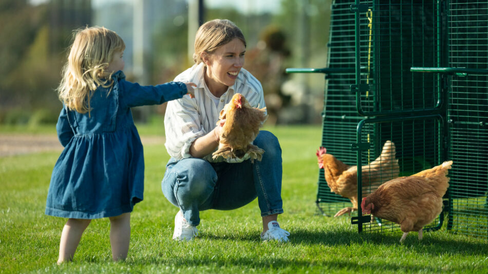 Chicken behavior - woman and girl with chickens outside the Eglu Pro