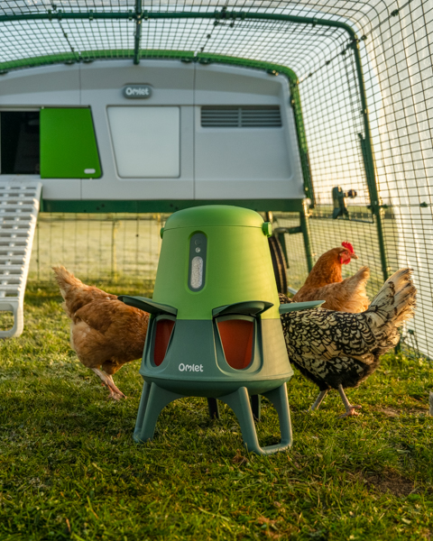 Omlet Smart No Waste Feeder within a pro coop, with chickens around 